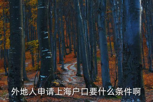 上海戶口申請條件，外地戶口怎么在上海落戶需要什么條件啊
