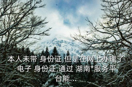 湖南電子身份證,湖南*服務平臺app下載