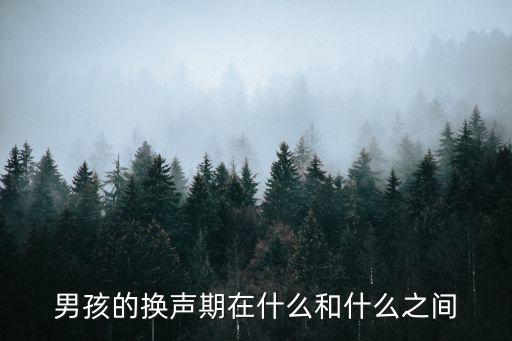 男孩的換聲期在什么和什么之間
