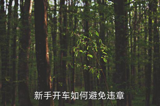 新手開車如何避免違章