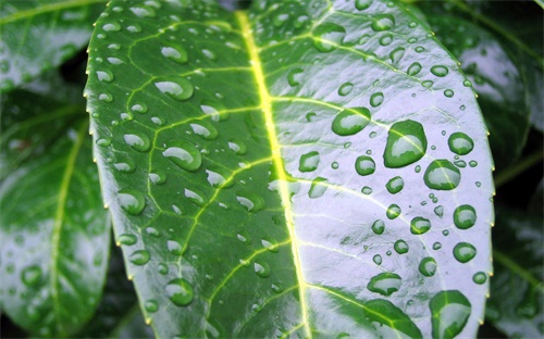 強(qiáng)制執(zhí)行撫養(yǎng)費(fèi)太難了，通過*判決申請執(zhí)行的程序都無法實(shí)行追討的撫養(yǎng)費(fèi)因該如何快