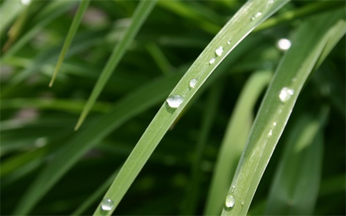 網(wǎng)貸電子合同有效嗎知乎,網(wǎng)貸上面的合同有效嗎