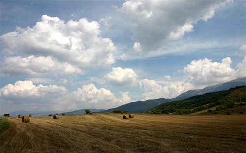 房子不住要交物業(yè)費(fèi)嗎，房子不住需不需要交物業(yè)費(fèi)